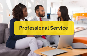 professional service category